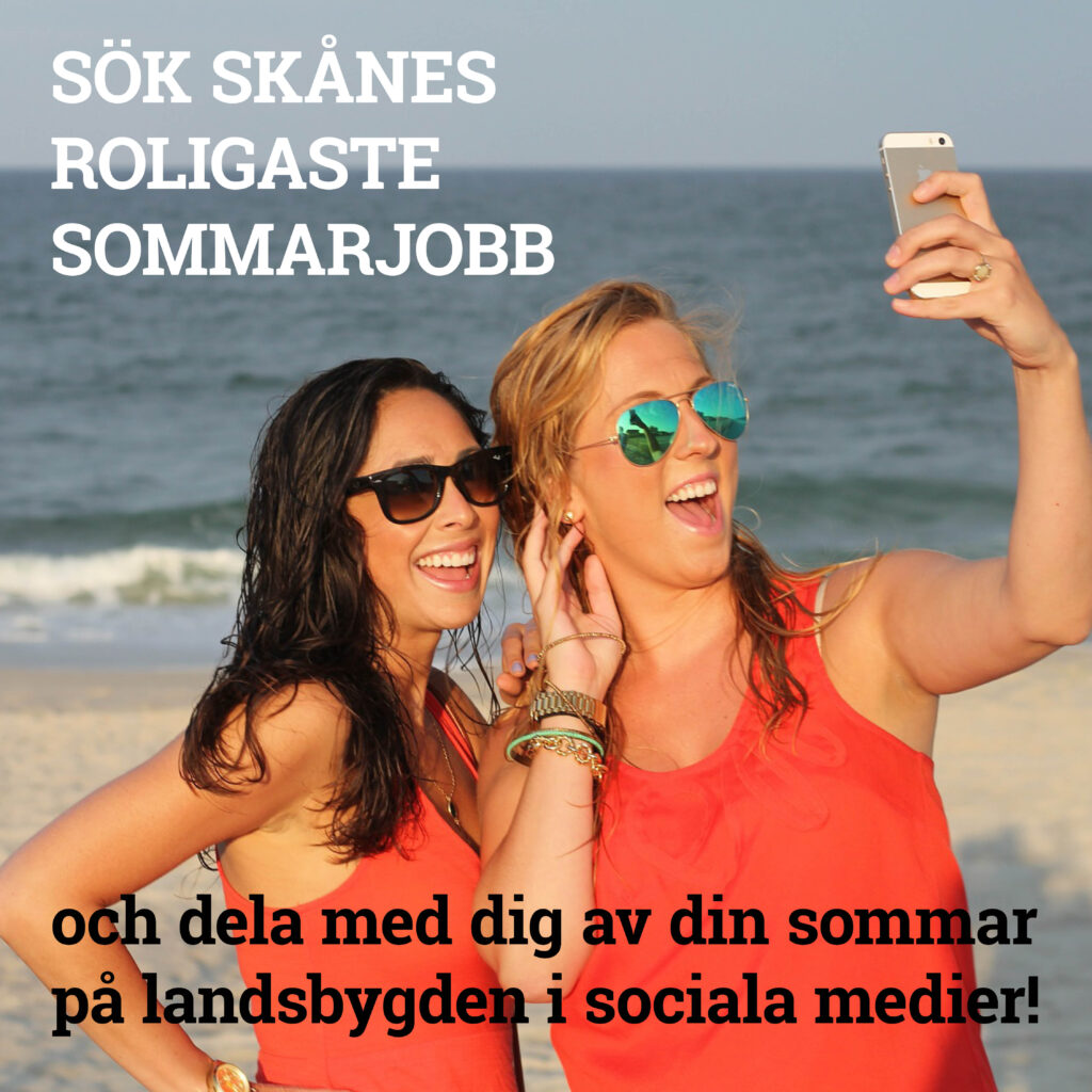 Bild av två unga och en mobil på stranden med texten "Sök skånes roligaste sommarjobb och dela med dig av din sommar på landsbygden i sociala medier!